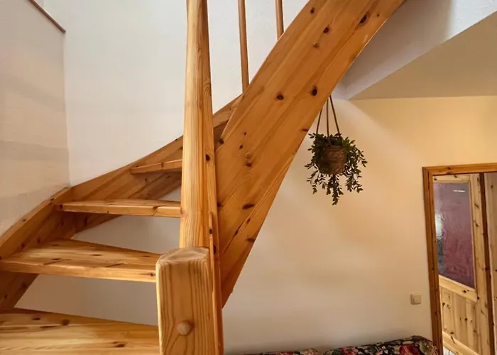 Alles Gute Wehlen 公寓